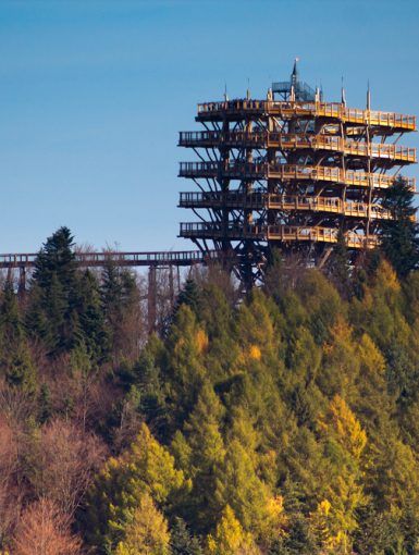 Wieża w Krynicy-Zdroju