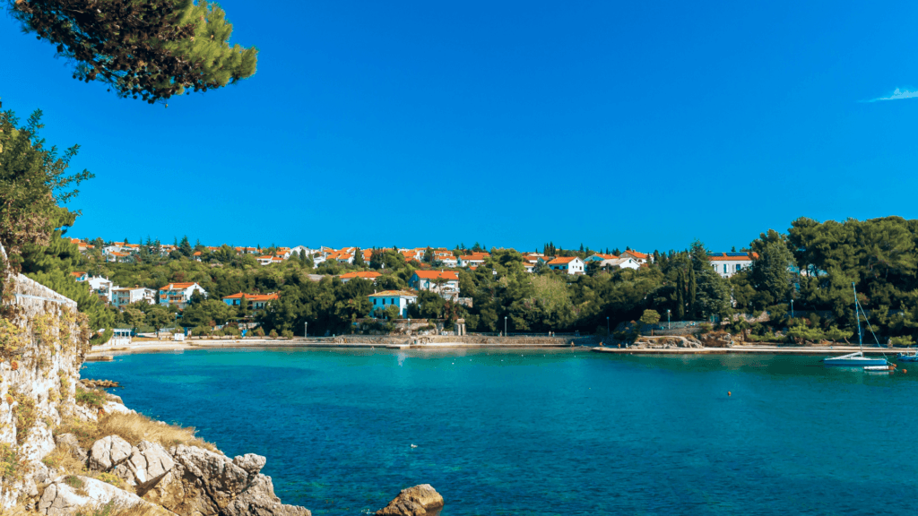 Rejsy obserwacyjne delfinów w okolicach wyspy Lošinj