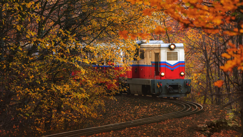 Gyermekvasút - Magazyn travelist